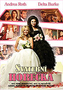 Svatební horečka – plakát filmu