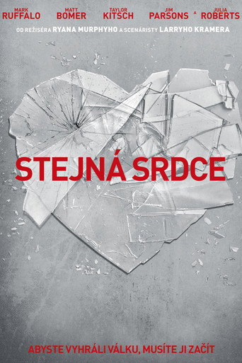 Stejná srdce – plakát filmu