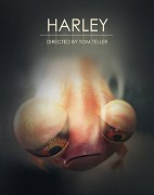 Harley – plakát filmu