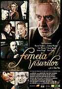 Žena snů – plakát filmu