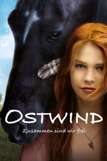Rychlý jako vítr – plakát filmu