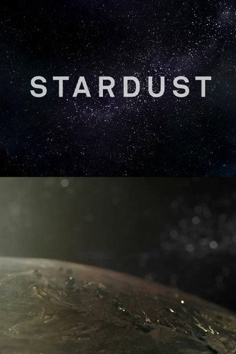 Stardust – plakát filmu
