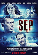 Sęp – plakát filmu