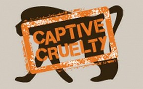 Captive Cruelty – plakát filmu