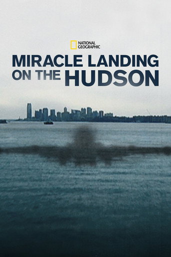 Zázračné přistání na řece Hudson – plakát filmu