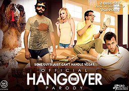 Official the Hangover Parody – plakát filmu