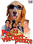 Pes za všechny peníze – plakát filmu