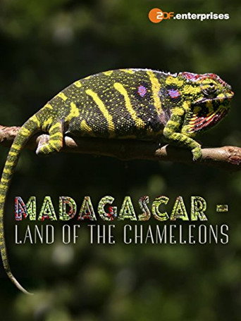 Madagascar: Land of the Chameleons – plakát filmu