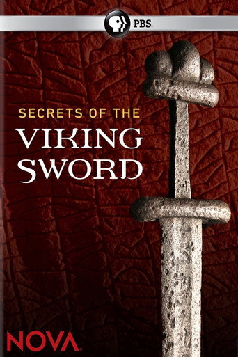 Jedinečný vikingský meč – plakát filmu
