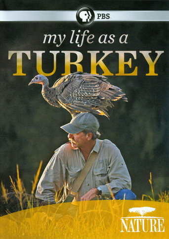 My Life as a Turkey – plakát filmu