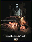 Secrets in the Walls – plakát filmu
