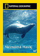 Neznámá Havaj – plakát filmu