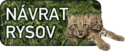 Spojenectví rysů – plakát filmu