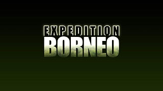 Expedice Borneo – plakát filmu