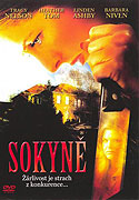 Sokyně – plakát filmu