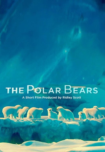 The Polar Bears – plakát filmu