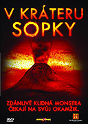 V kráteru sopky – plakát filmu