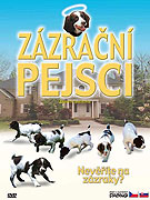 Zázrační pejsci – plakát filmu