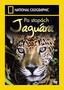 Po stopách jaguára – plakát filmu