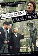 Černá slečna, slečna Černá – plakát filmu