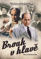 Brouk v hlavě – plakát filmu