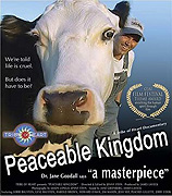 Království míru – plakát filmu
