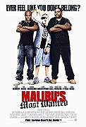 Nejhledanější v Malibu – plakát filmu