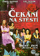 Čekání na štěstí – plakát filmu