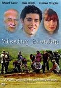 Nezvěstný syn – plakát filmu