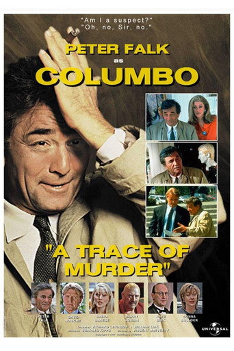 A Trace of Murder – plakát filmu