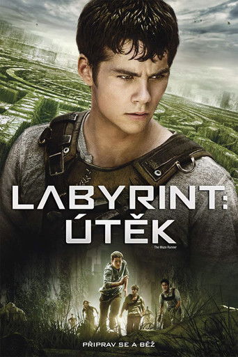 Labyrint: Útěk – plakát filmu