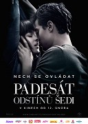 Padesát odstínů šedi – plakát filmu
