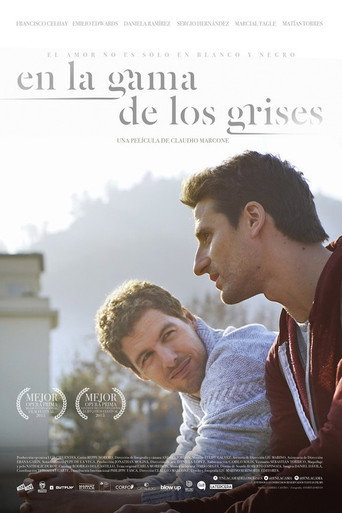 En la gama de los grises – plakát filmu