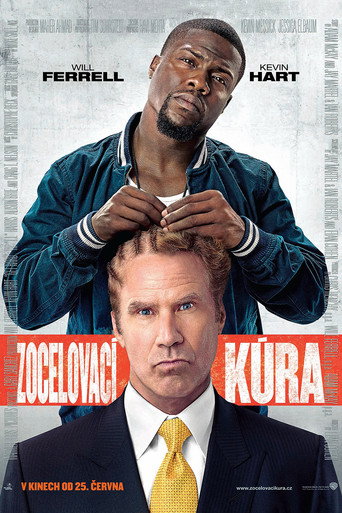 Zocelovací kúra – plakát filmu