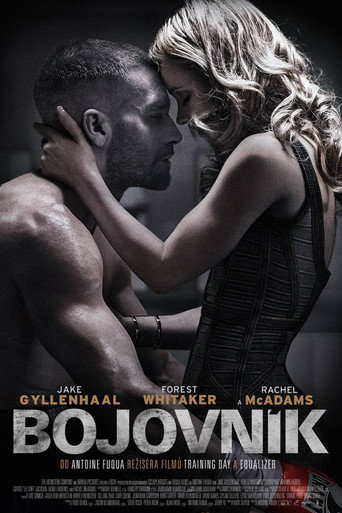 Bojovník – plakát filmu