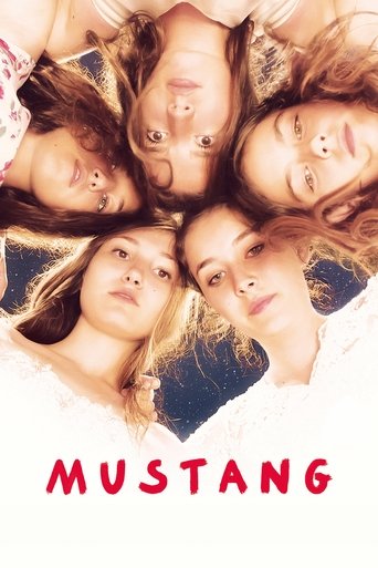 Mustang – plakát filmu