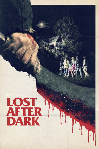 Lost After Dark – plakát filmu