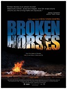 Zkrocení koně – plakát filmu