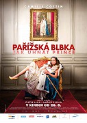 Pařížská blbka – plakát filmu