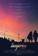 Transdarinka – plakát filmu