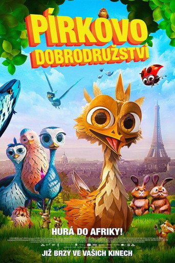 Pírkovo dobrodružství – plakát filmu