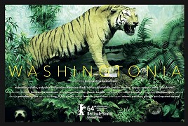Washingtonia – plakát filmu