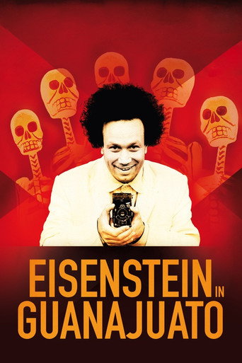 Ejzenštejn v Guanajuatu – plakát filmu