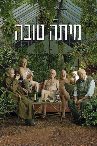 Večírek na rozloučenou – plakát filmu