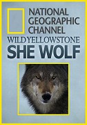 Divoký Yellowstone: Vlčice – plakát filmu
