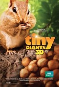 Tiny Giants 3D – plakát filmu