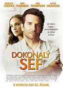 Dokonalý šéf – plakát filmu