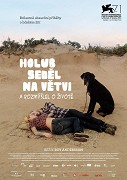 Holub seděl na větvi a rozmýšlel o životě – plakát filmu