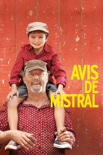 Moje léto v Provence – plakát filmu