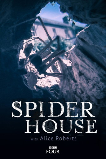 Spider House – plakát filmu